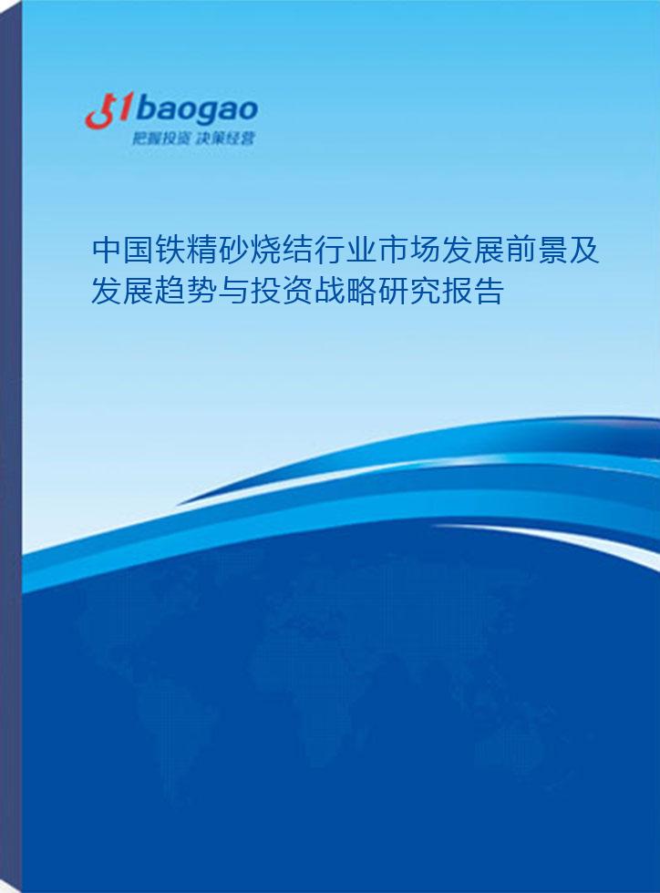 中国铁精砂烧结行业市场发展前景及发展趋势与投资战略研究（2025-2030）